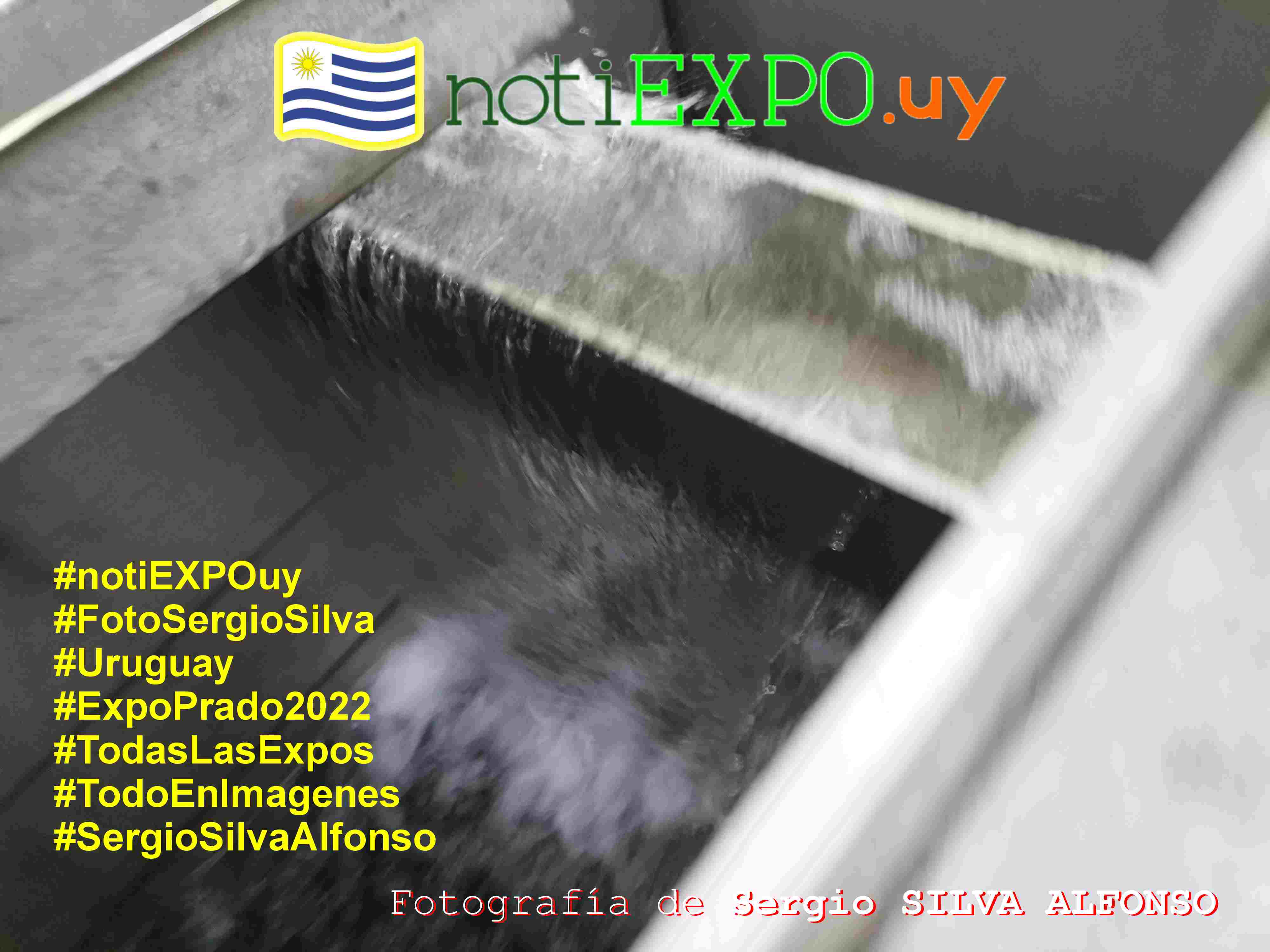 UPA. Unidad Potabilizadora de Agua. Fotografia de Sergio Silva. #FotoSergioSilva