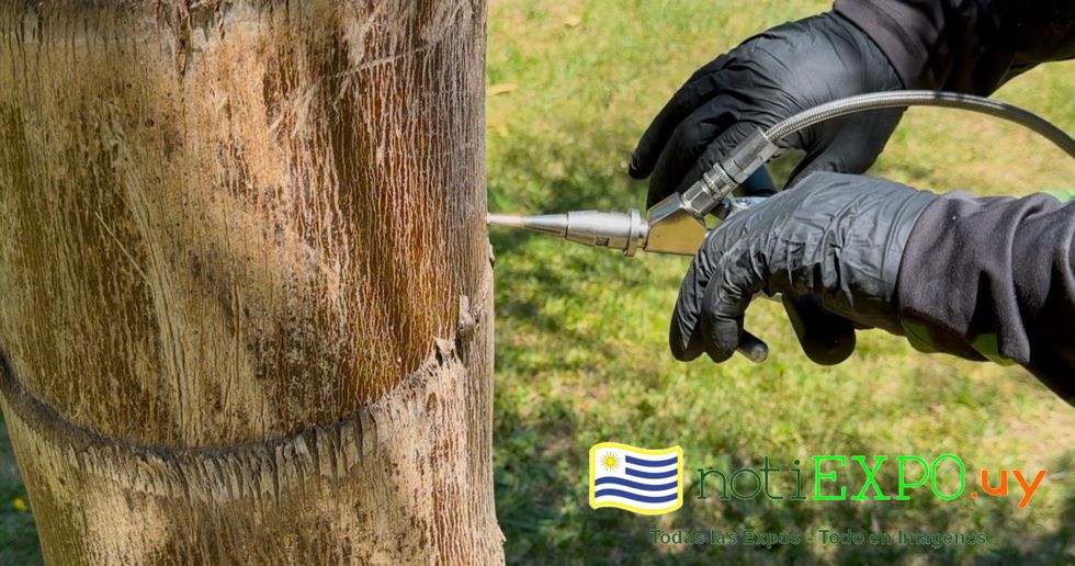 La Intendencia de Canelones es la primera barrera contra este gran riesgo.