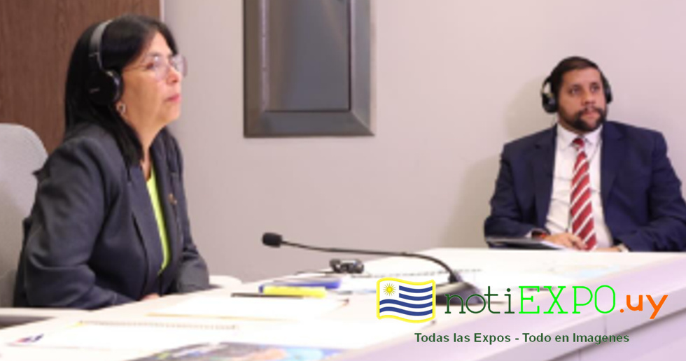 La Ministra venezolana Delcy Rodriguez en un zoom de OPEP