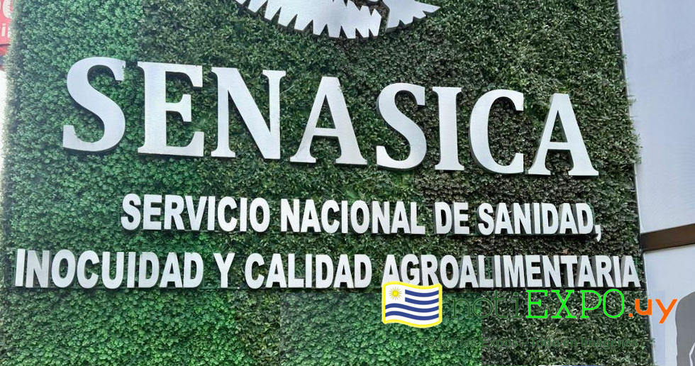 El Ministro y todo el equipo en Mexico.