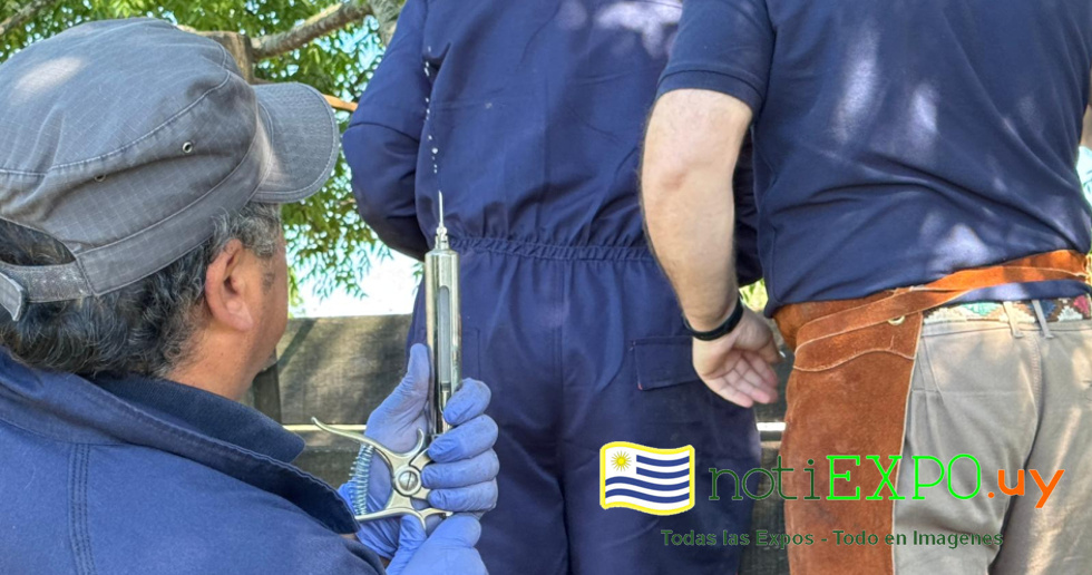 La nueva vacuna desarrollada por el Instituto Pasteur y su aplicacion.