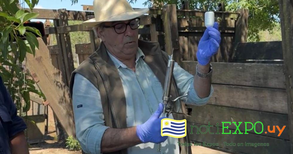 La nueva vacuna desarrollada por el Instituto Pasteur y su aplicacion.