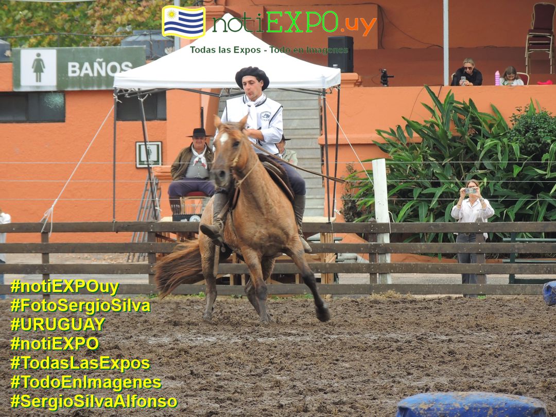 Expo Otoño Criollos 2025. Fotografia de Sergio SILVA. #FotoSergioSilva