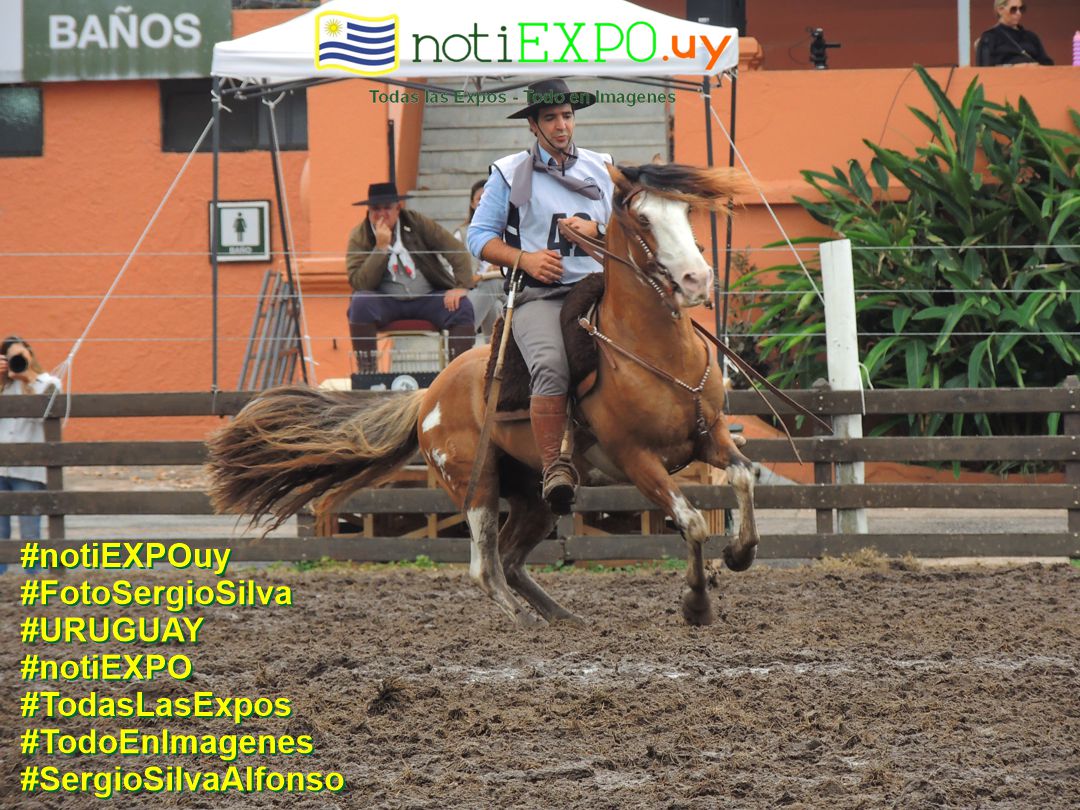Expo Otoño Criollos 2025. Fotografia de Sergio SILVA. #FotoSergioSilva