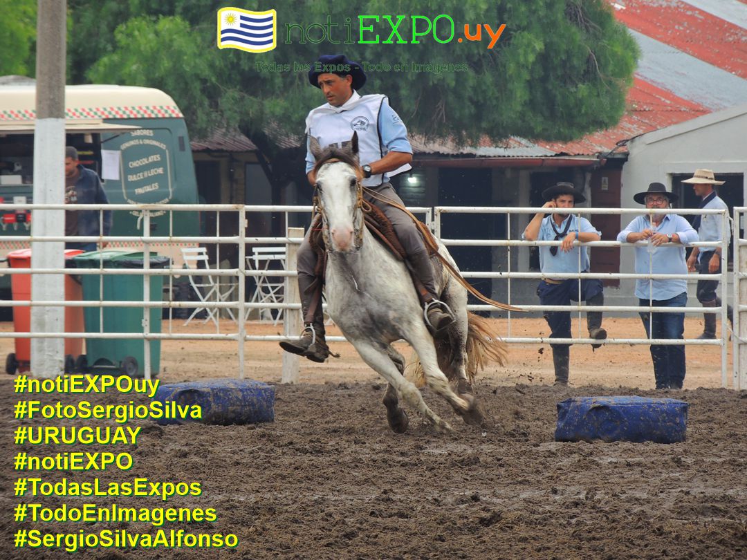 Expo Otoño Criollos 2025. Fotografia de Sergio SILVA. #FotoSergioSilva