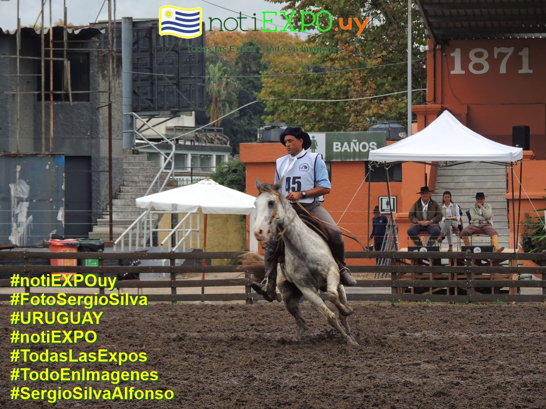 Expo Otoño Criollos 2025. Fotografia de Sergio SILVA. #FotoSergioSilva