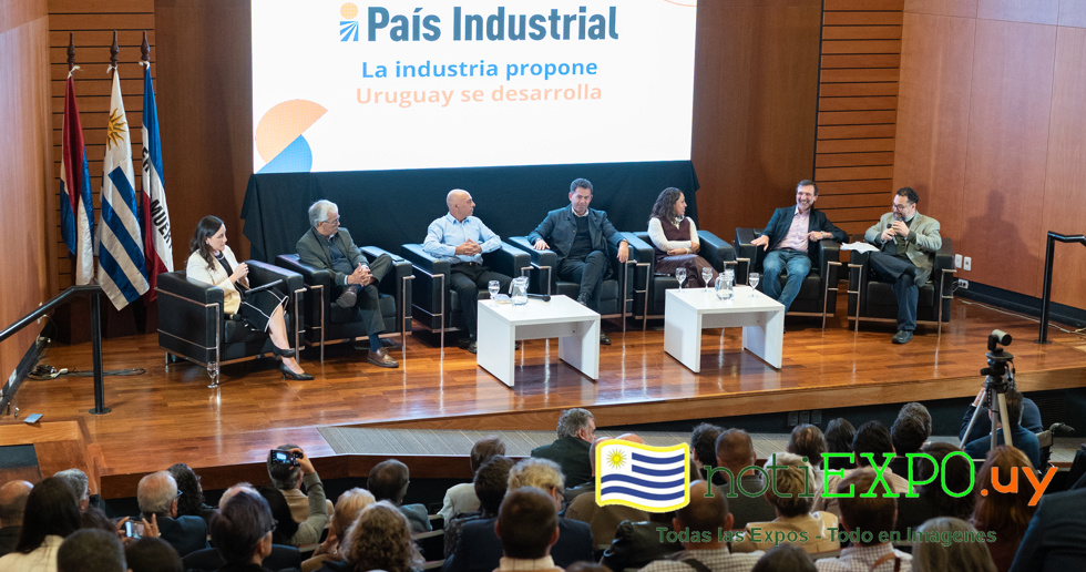 Presentacion del proyecto Pais Industrial.