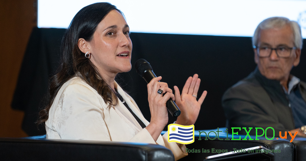 Presentacion del proyecto Pais Industrial.