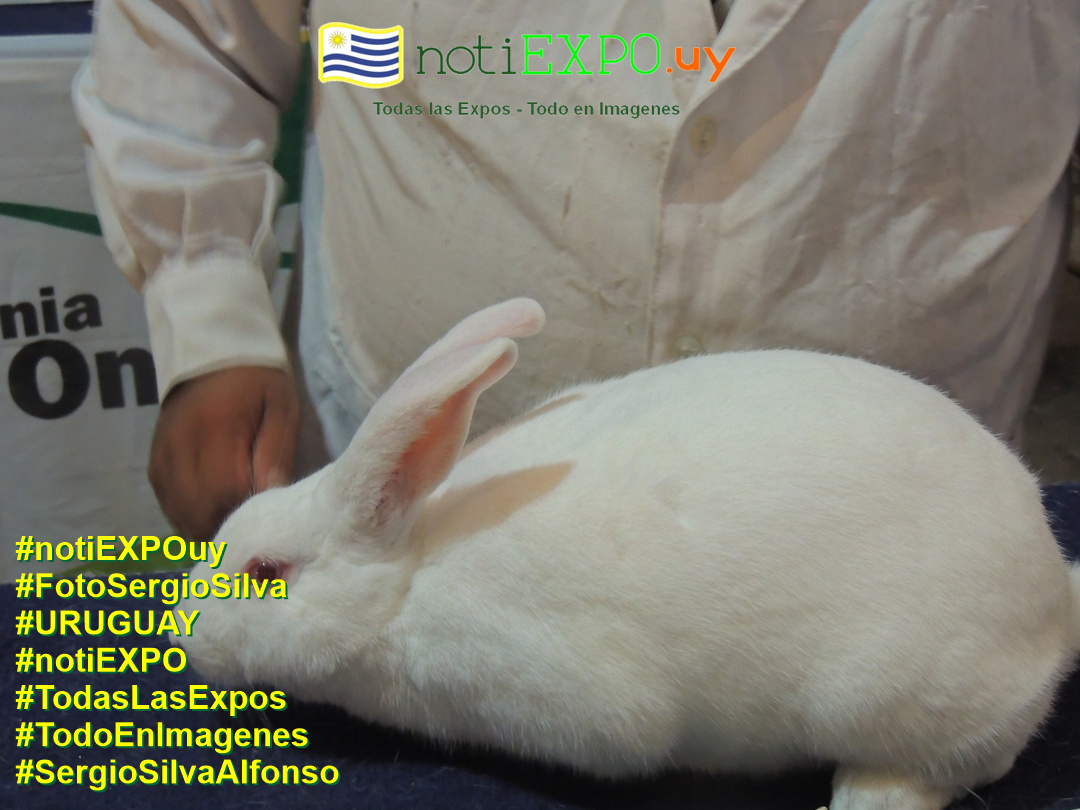 Expo Otoño SUDEC en Semana Criolla. Foto Sergio SILVA. #FotoSergioSilva