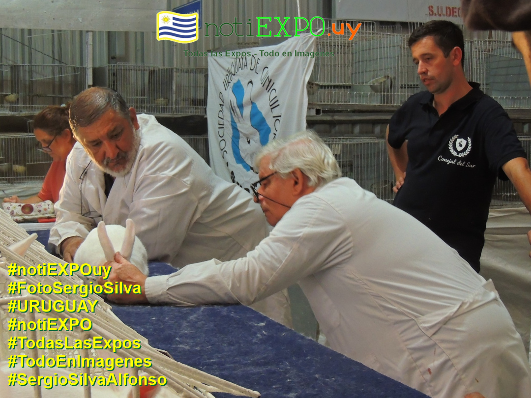 Expo Oto�o SUDEC en Semana Criolla. Todas las Expos. Fotografia de Sergio Silva. #FotoSergioSilva