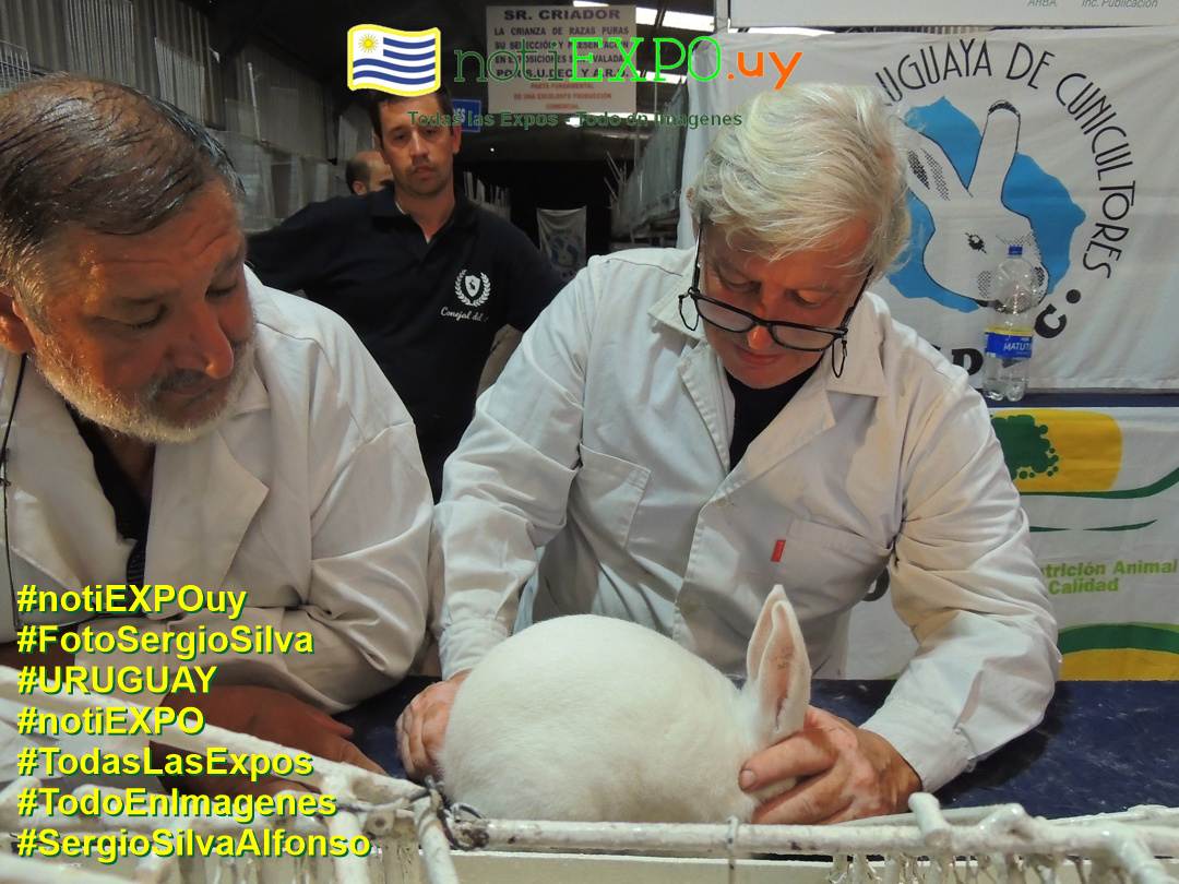 Expo Oto�o SUDEC en Semana Criolla. Todas las Expos. Fotografia de Sergio Silva. #FotoSergioSilva