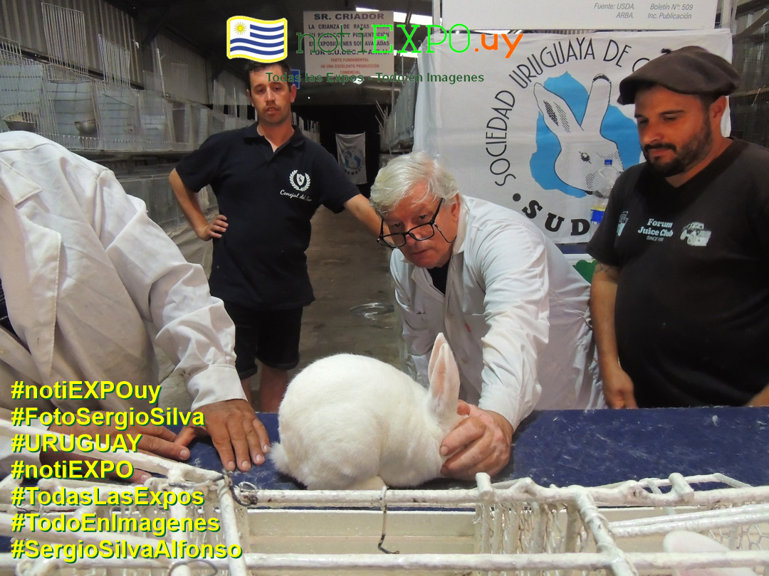 Expo Otoño SUDEC en Semana Criolla. Foto Sergio SILVA. #FotoSergioSilva