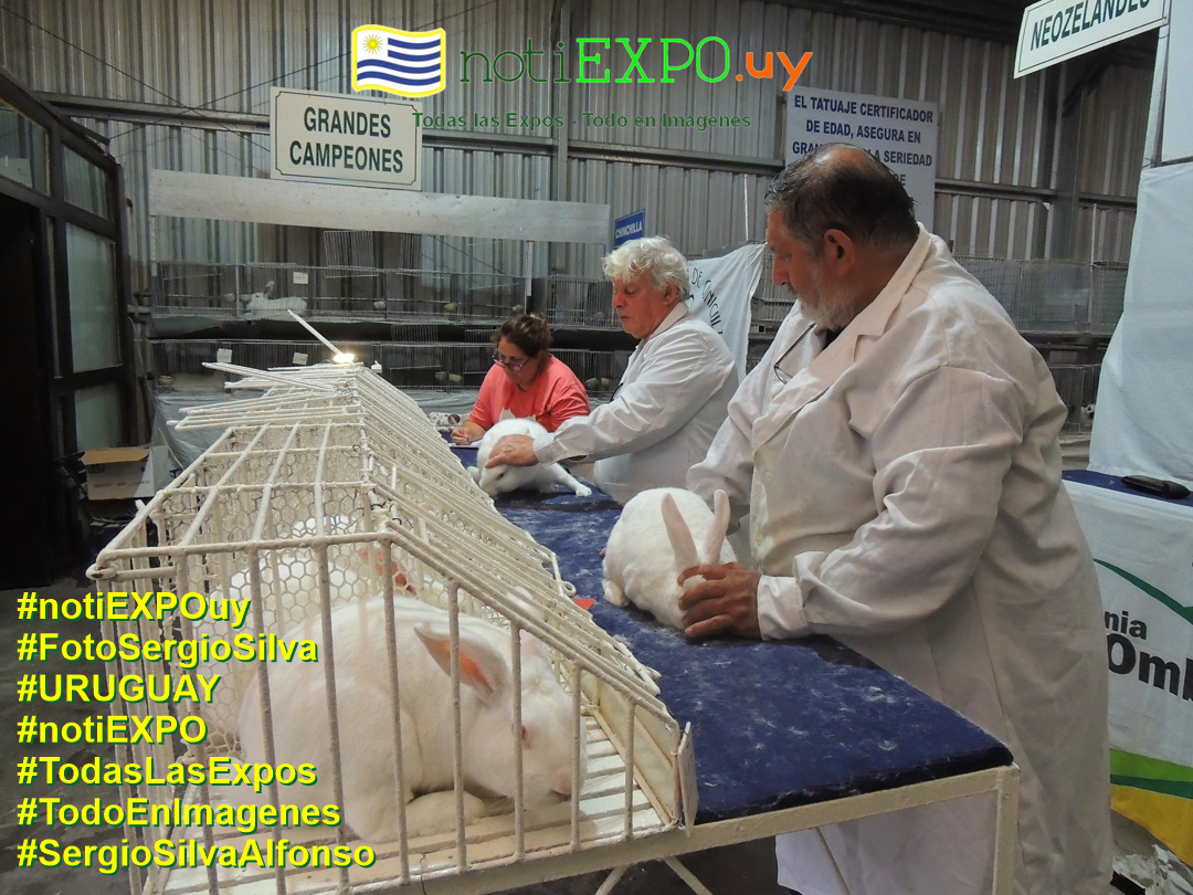 Expo Oto�o SUDEC en Semana Criolla. Todas las Expos. Fotografia de Sergio Silva. #FotoSergioSilva