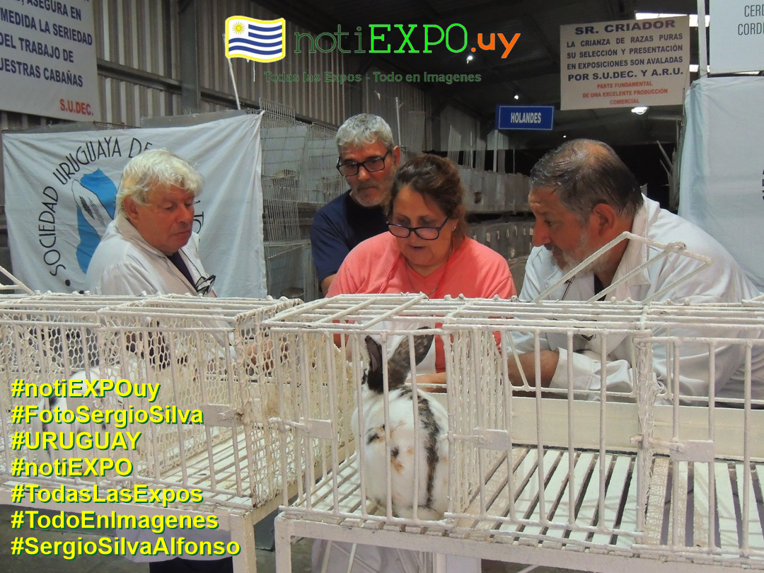 Expo Oto�o SUDEC en Semana Criolla. Todas las Expos. Fotografia de Sergio Silva. #FotoSergioSilva