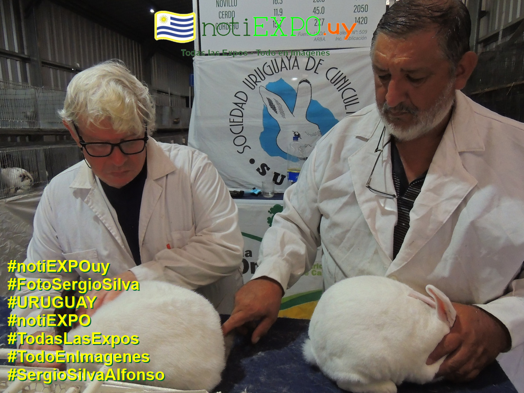 Expo Oto�o SUDEC en Semana Criolla. Todas las Expos. Fotografia de Sergio Silva. #FotoSergioSilva