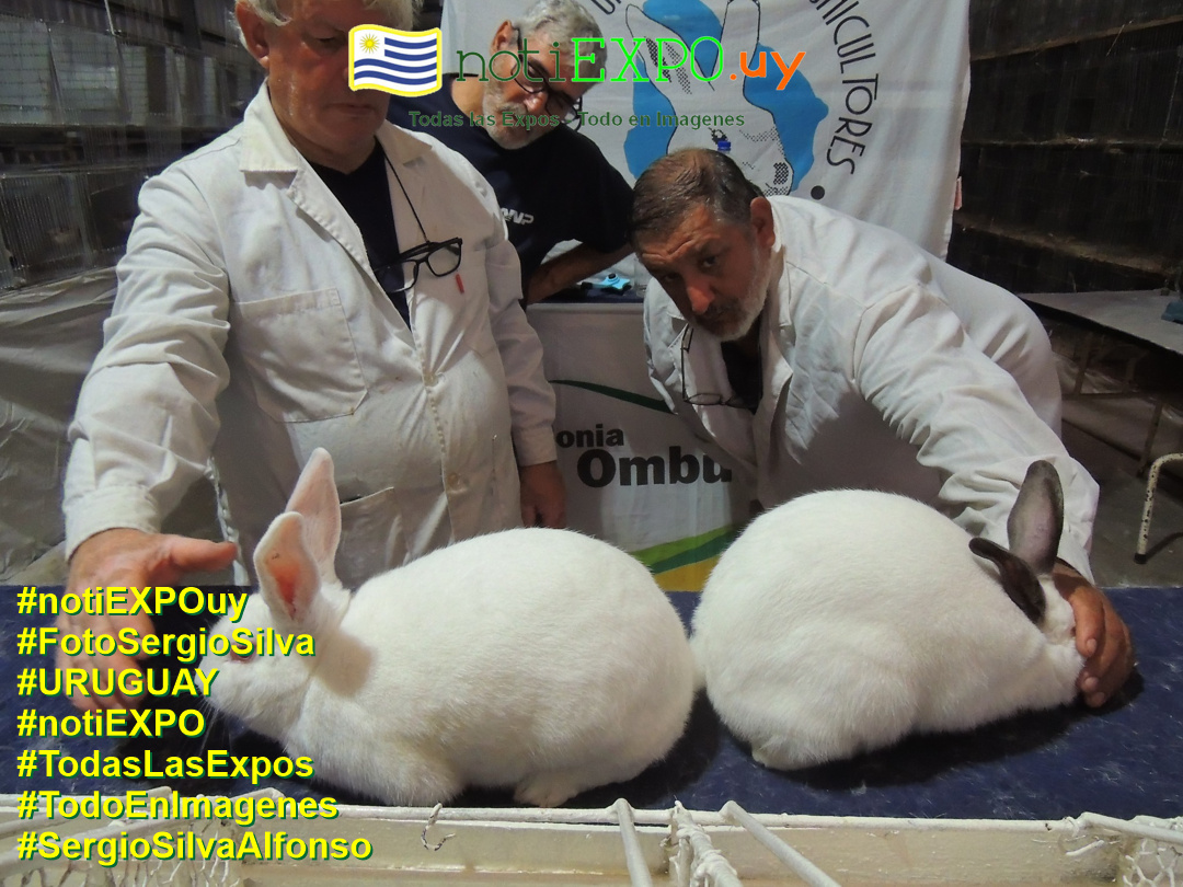 Expo Oto�o SUDEC en Semana Criolla. Todas las Expos. Fotografia de Sergio Silva. #FotoSergioSilva