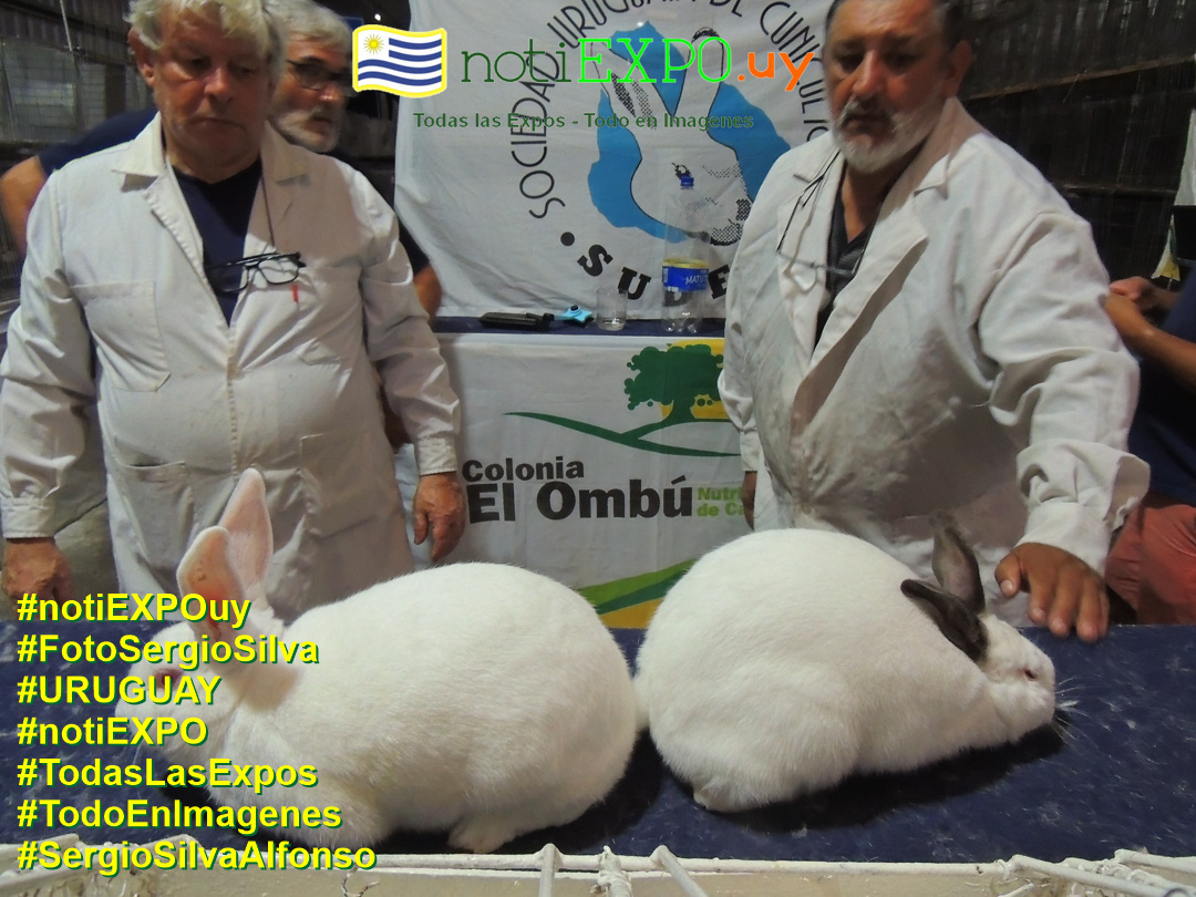 Expo Otoño SUDEC en Semana Criolla. Foto Sergio SILVA. #FotoSergioSilva