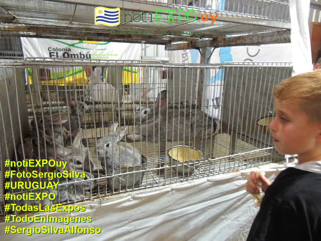 Expo Oto�o SUDEC en Semana Criolla. Todas las Expos. Fotografia de Sergio Silva. #FotoSergioSilva