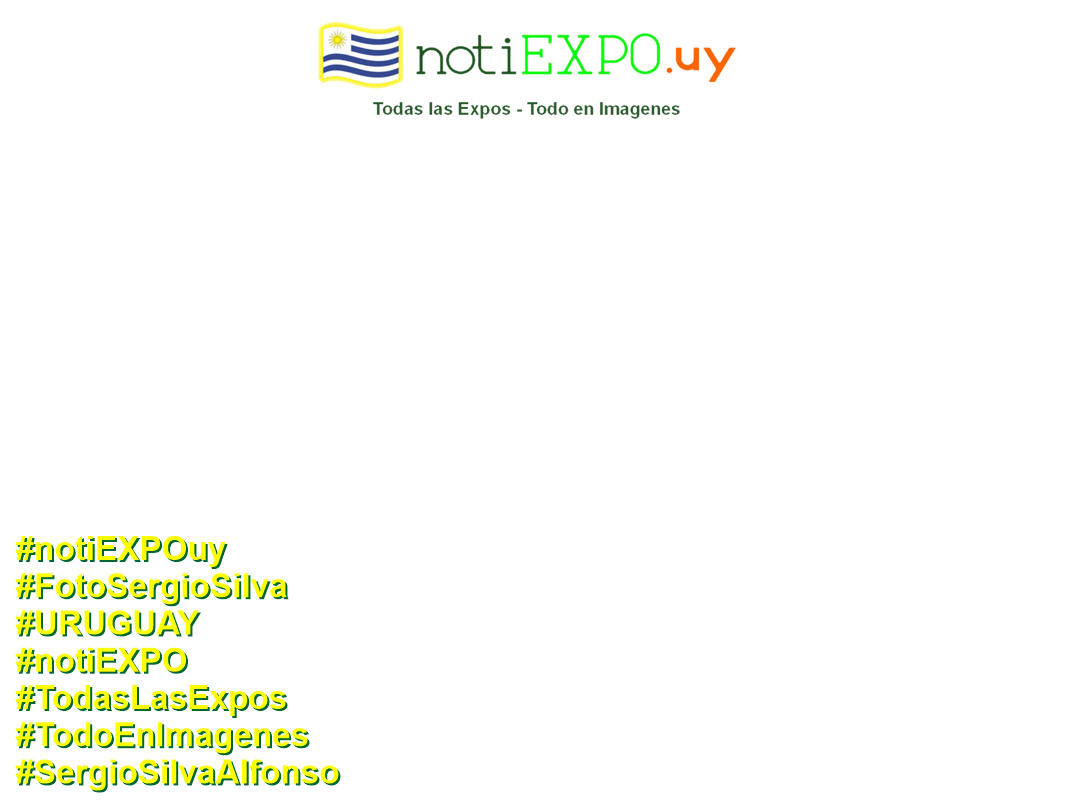 Expo Oto�o SUDEC en Semana Criolla. Todas las Expos. Fotografia de Sergio Silva. #FotoSergioSilva