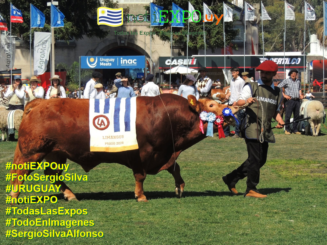 Acto de clausura y Pista. Premios. Foto de Sergio Silva. #FotoSergioSilva