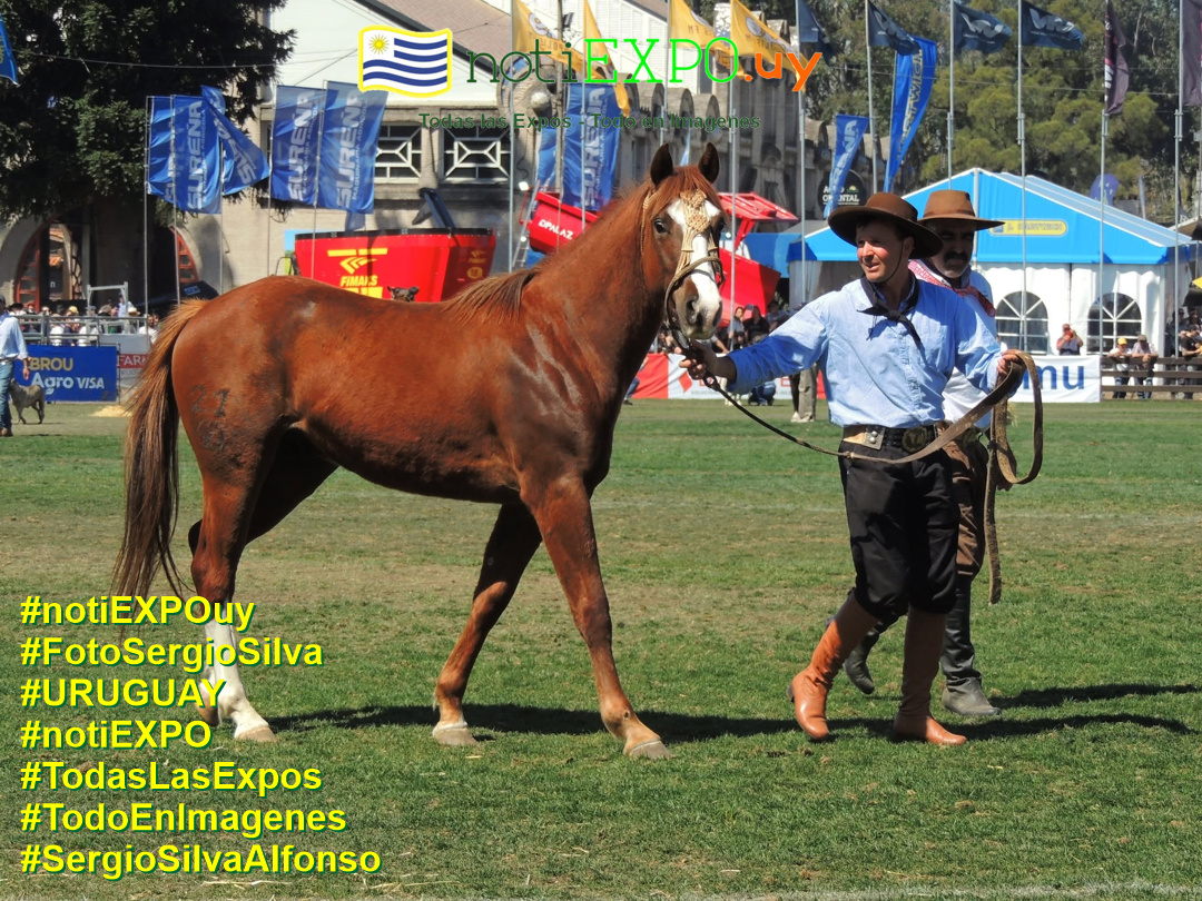Acto de clausura y Pista. Premios. Foto de Sergio Silva. #FotoSergioSilva